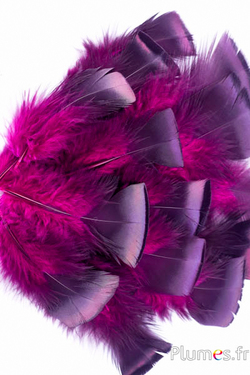 Dindon bronze - 5-15 cm - fuchsia